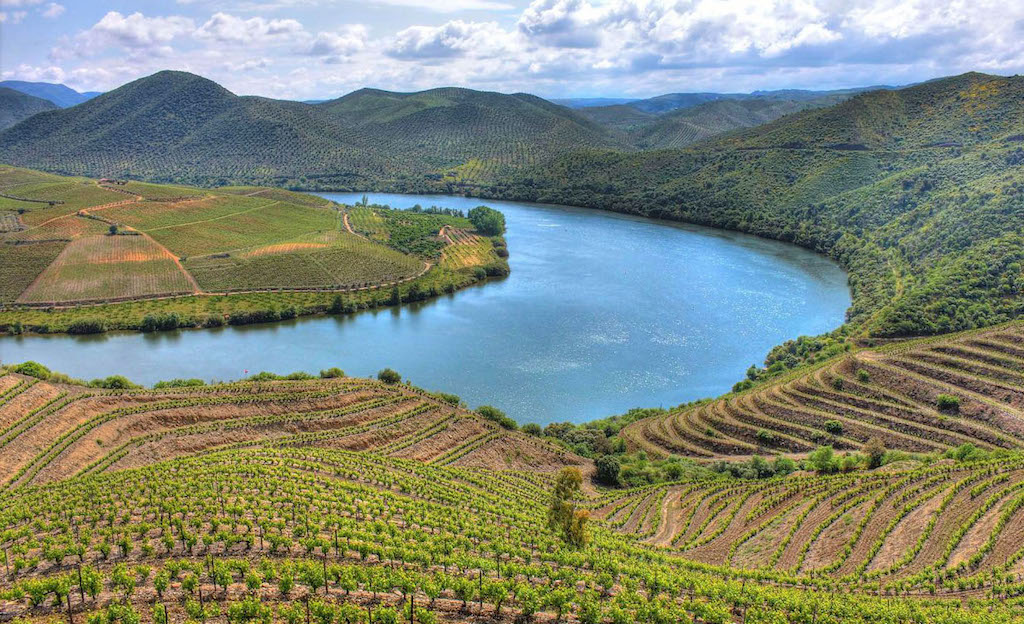 La vallée du Douro et ses vignes