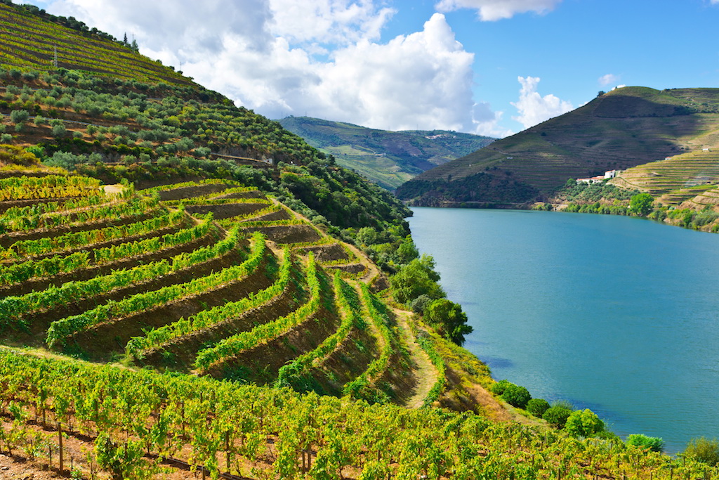 La vallée du Douro reconnu par l'Unesco formant une partie de la frontière avec l'Espagne