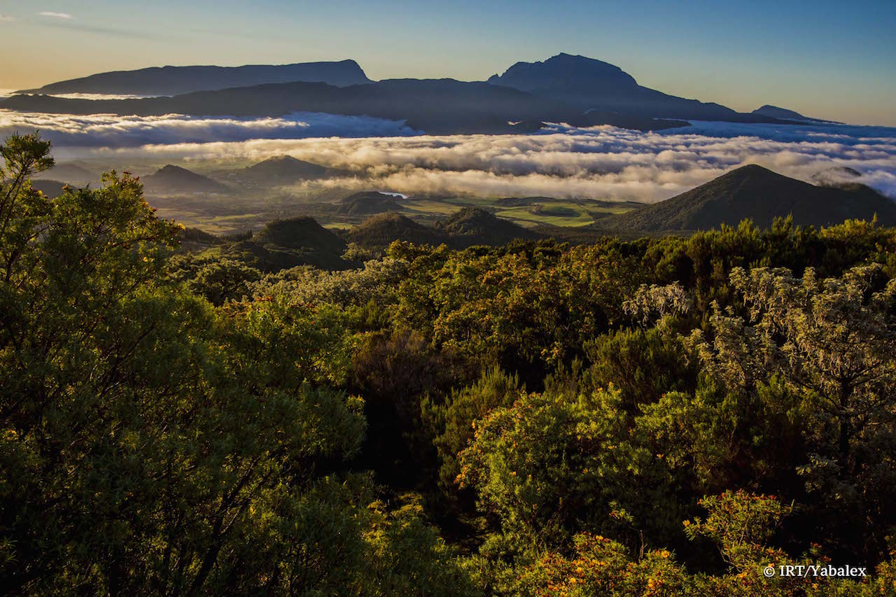 La plaine des Cafres depuis la route du volcan