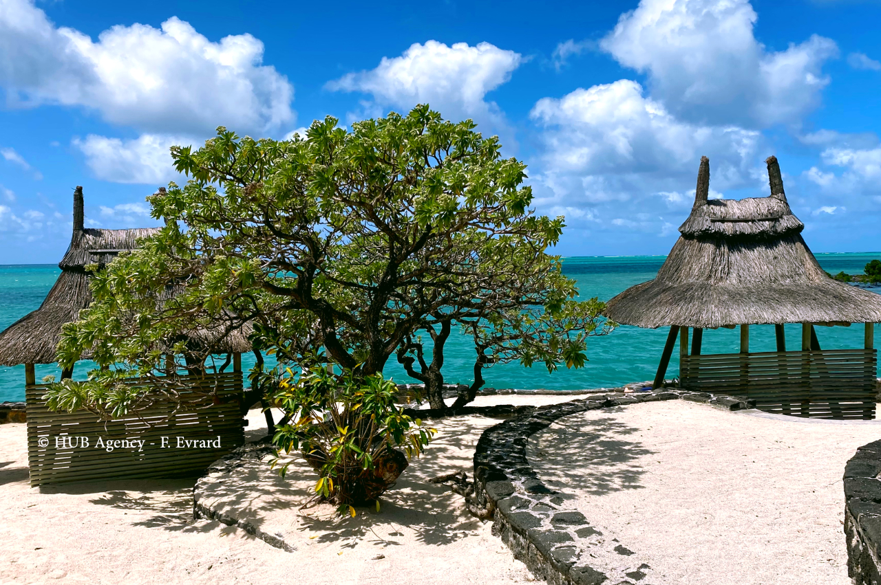 Paradise Cove beach