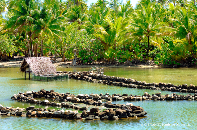 Parcs à poisson sur l'île de Huahine.