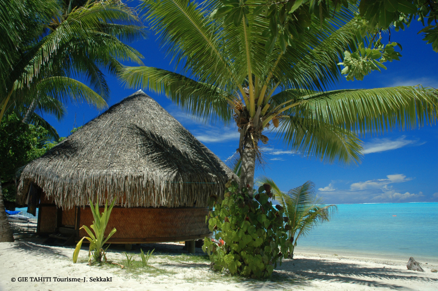 Pension chez l'habitant avec les pieds dans le sable-la pension Nono à Bora Bora.