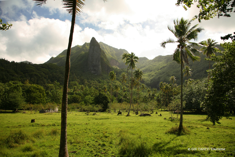 Vue de l'île de Raiatea