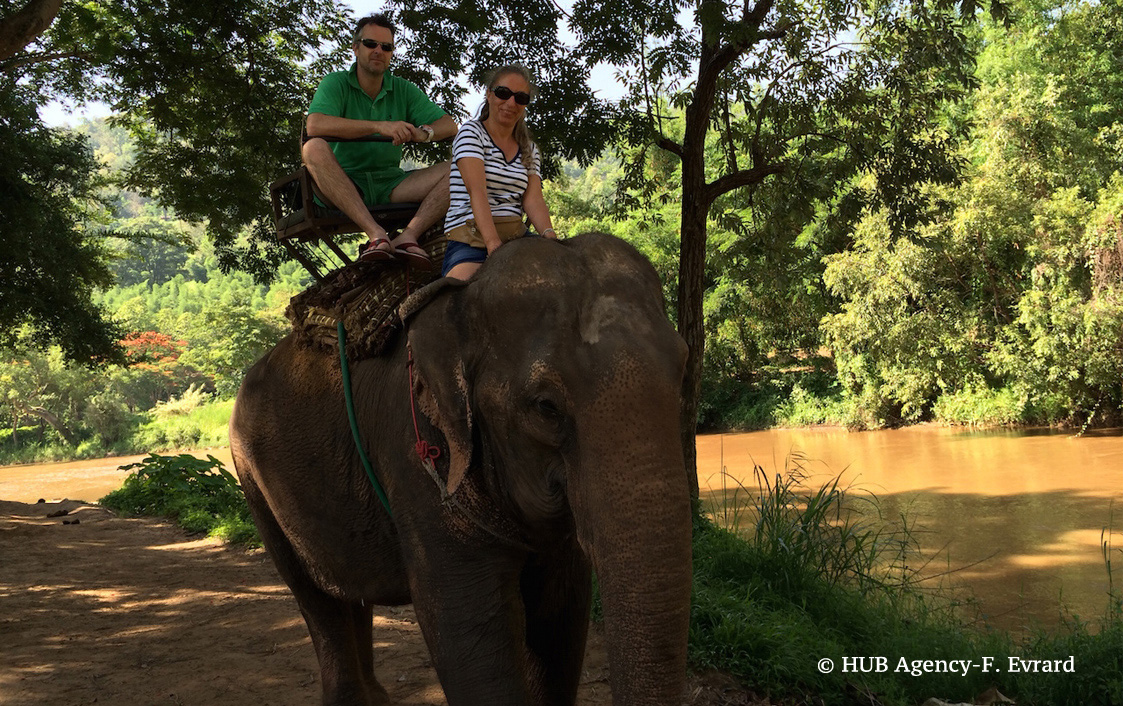 Balade à dos d'éléphant