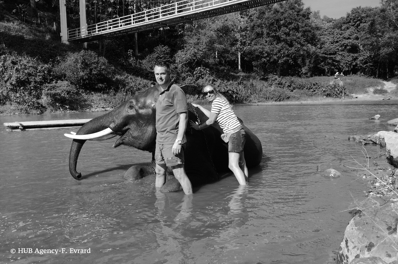 Le bain de l'éléphant