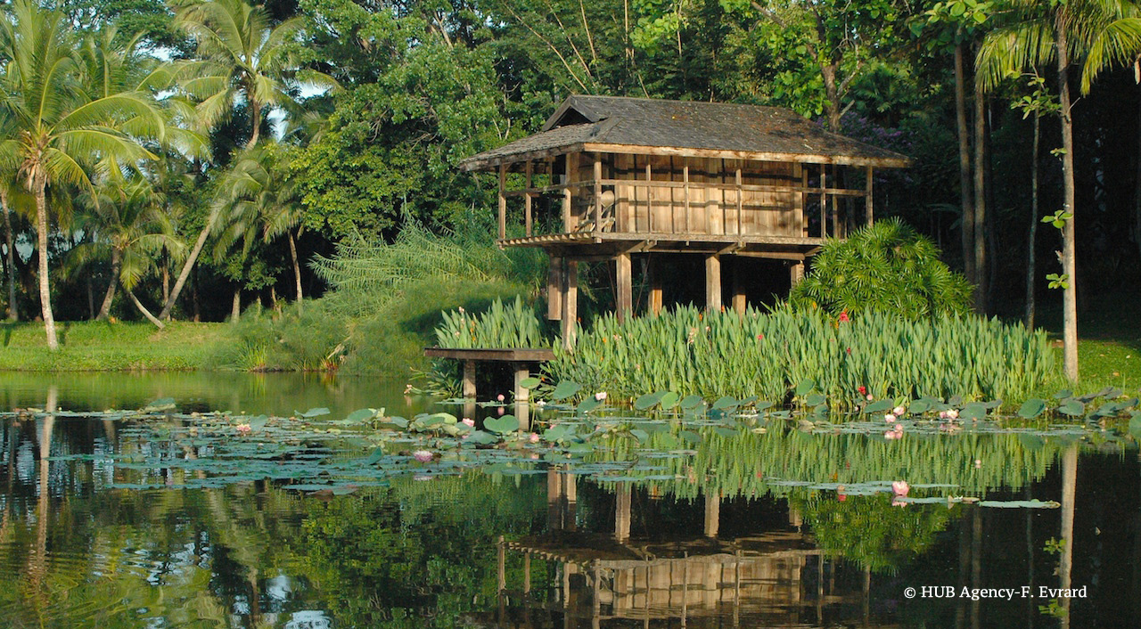 Pièce d'eau Four Season Chiang Mai