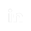 Linkedin icon